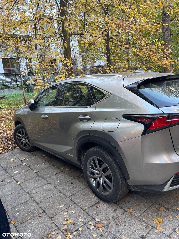 Lexus NX 300h Business Edition AWD - 3