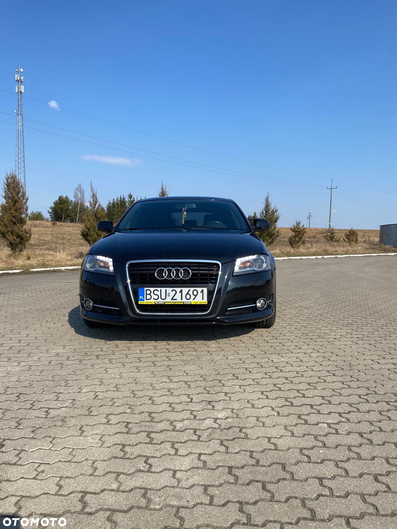 Audi A3 1.6 TDI DPF Ambiente - 1