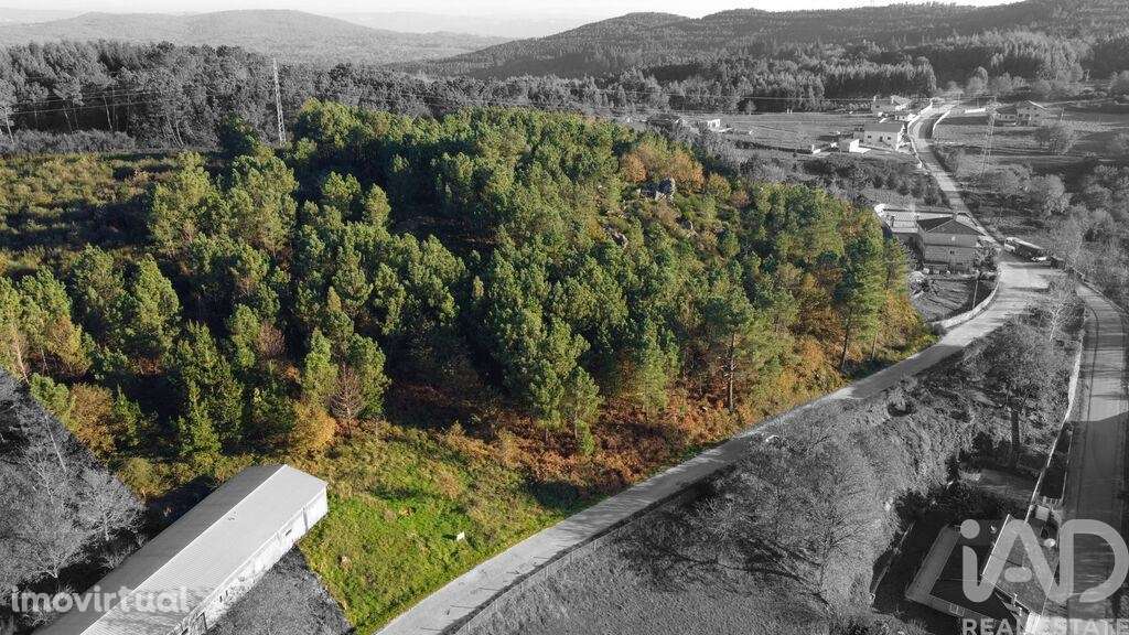 Terreno em Moledo de 9040,00 m2 - Grande imagem: 5/18