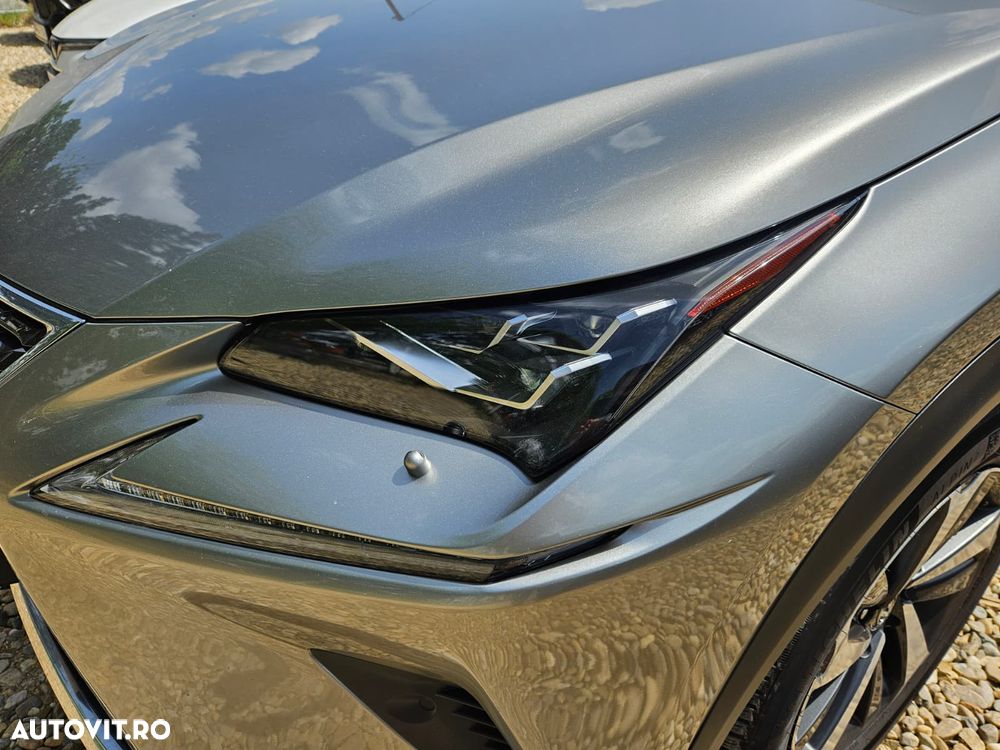 Lexus Seria NX 300 AWD Luxury - 21