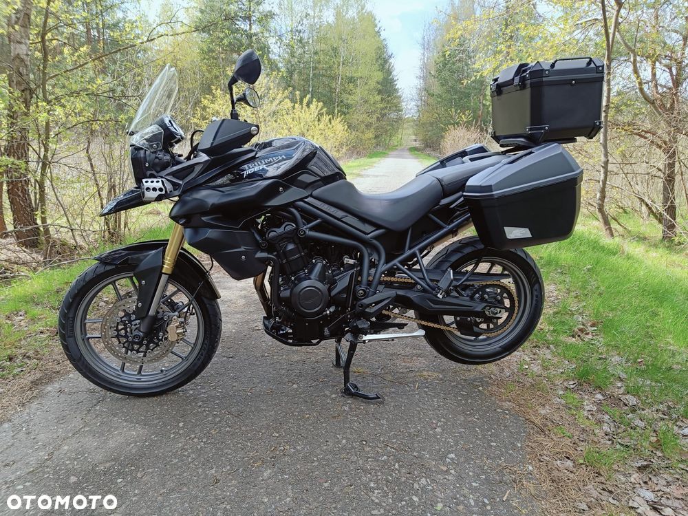 Triumph Tiger - 5