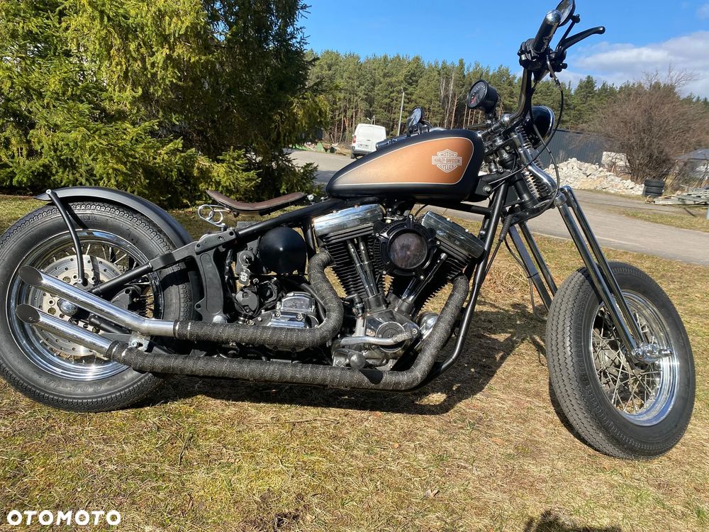 Harley-Davidson Inny - 10
