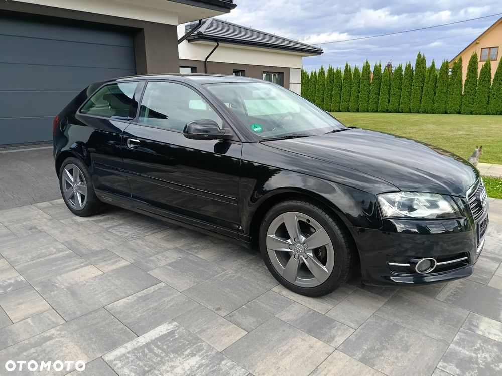 Audi A3 3-drzwiowe 1.6 Limited Edition - 3