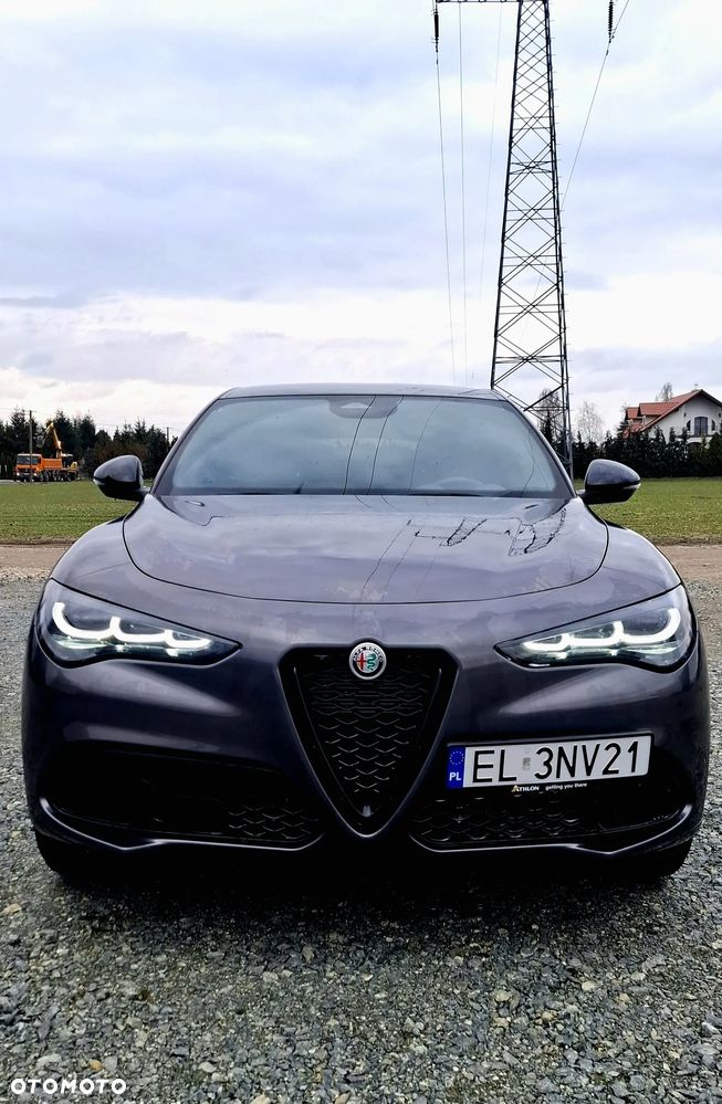 Alfa Romeo Stelvio 2.0 Turbo Veloce Q4 - 3