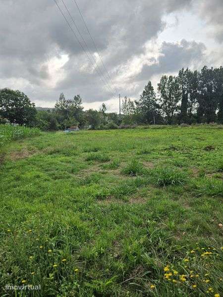 Terreno agrícola - Grande imagem: 3/8