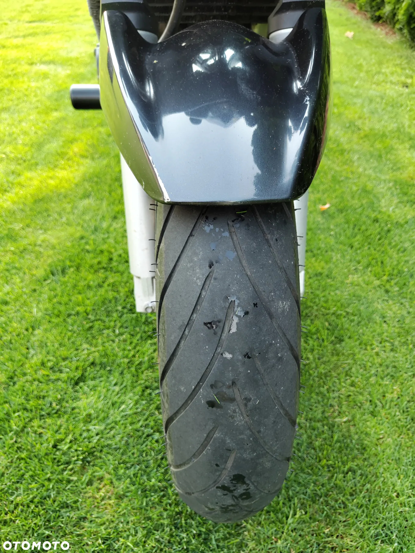 Suzuki Bandit - 5