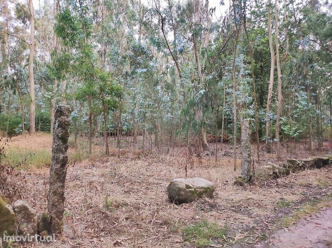 Terreno  para venda - Grande imagem: 2/13