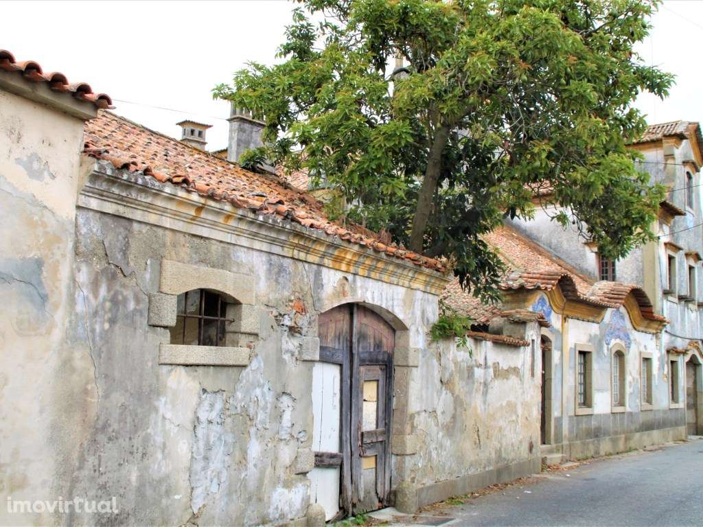 Moradia apalaçada para venda a 10 minutos do centro de Aveiro - Grande imagem: 4/60