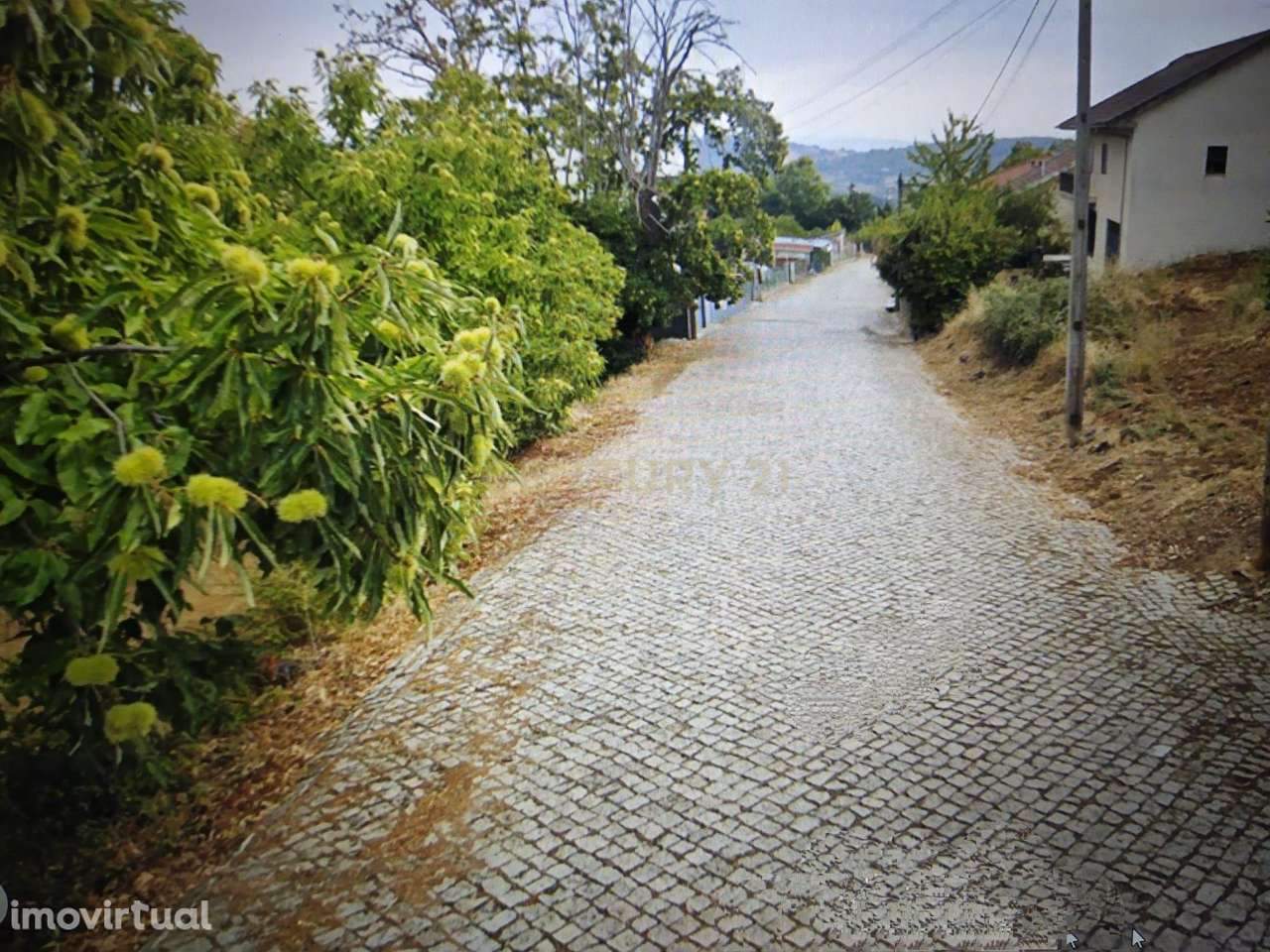 Terreno para construção em Samil - Bragança - Grande imagem: 3/13