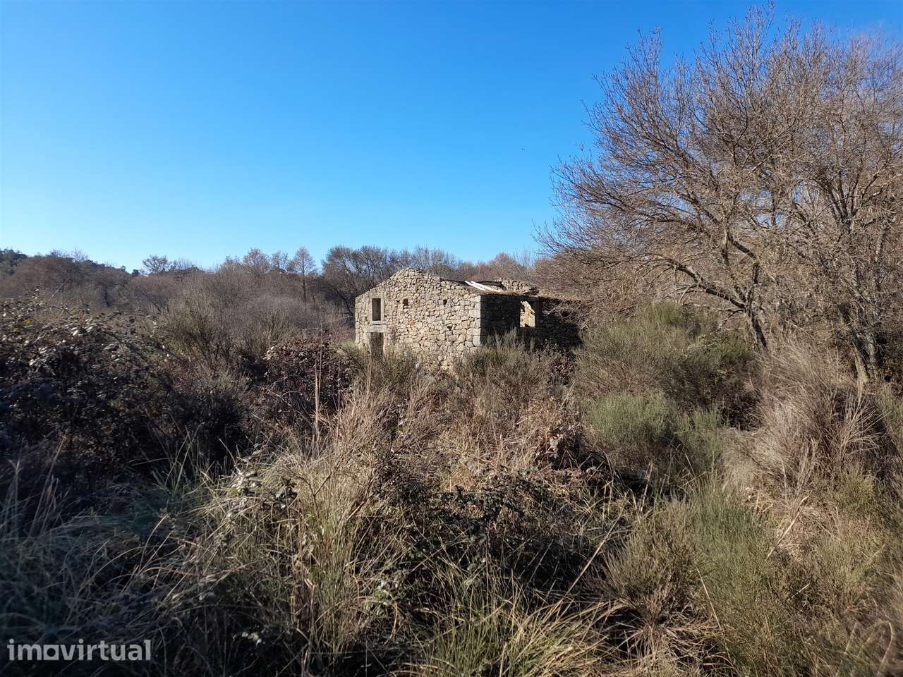 Quinta T0 Venda em Alcains,Castelo Branco - Grande imagem: 2/23