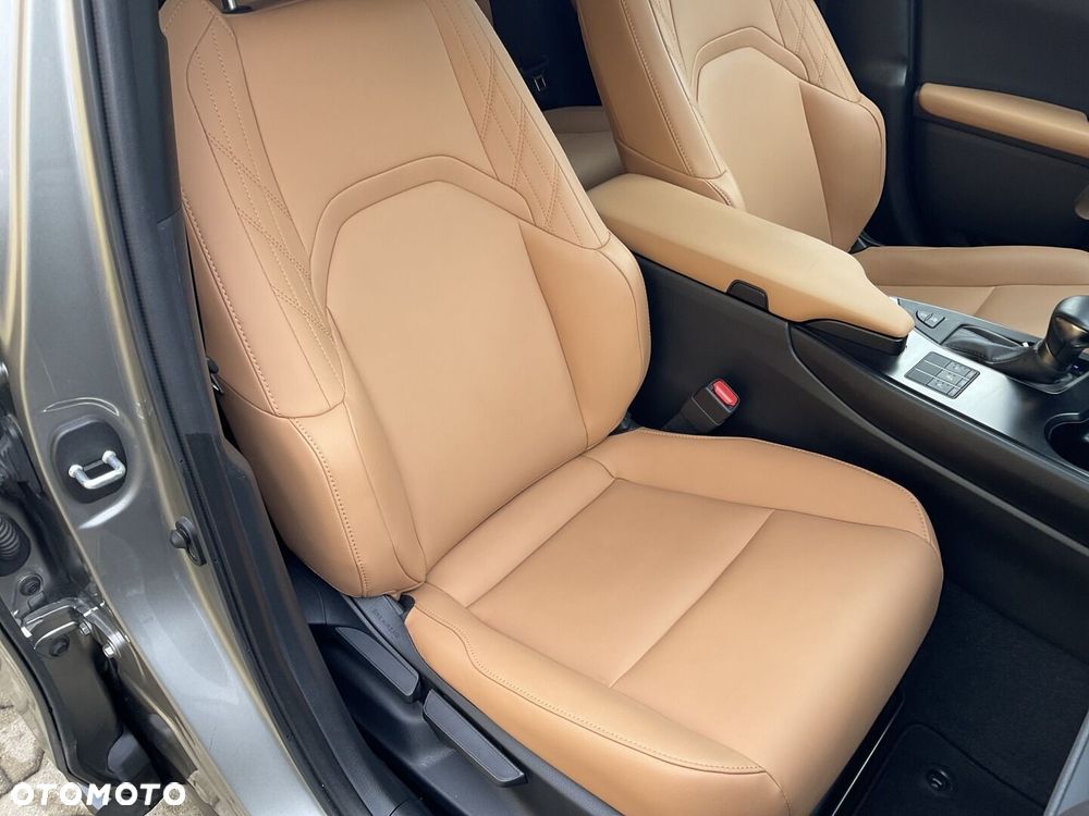 Lexus UX 250h GPF F Sport Design 2WD - 10