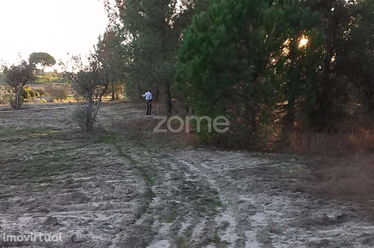 Carapuções - Coruche - Grande imagem: 2/19