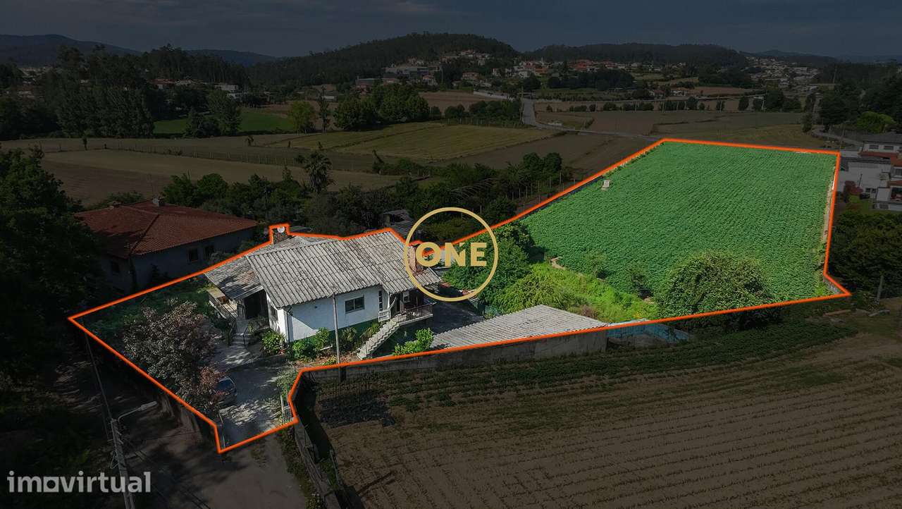 Quinta de Charme com Moradia T3 e Terreno de 9.000 m2 – Um Refúgio Úni - Grande imagem: 5/24