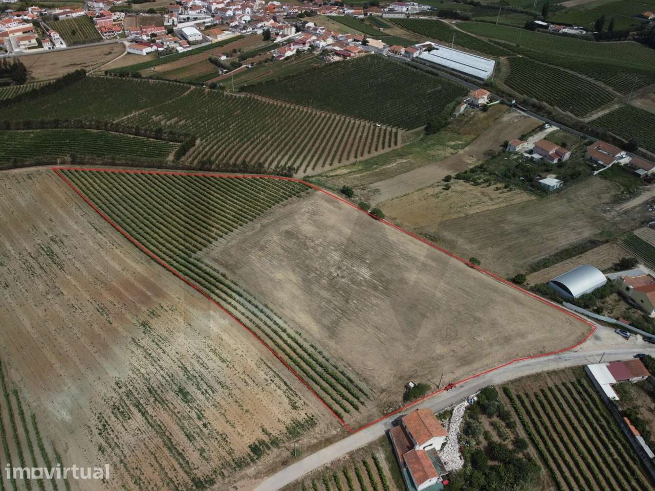 OPORTUNIDADE | TERRENO DE 15.080 M² | FREIRIA | TORRES VEDRAS - Grande imagem: 3/14