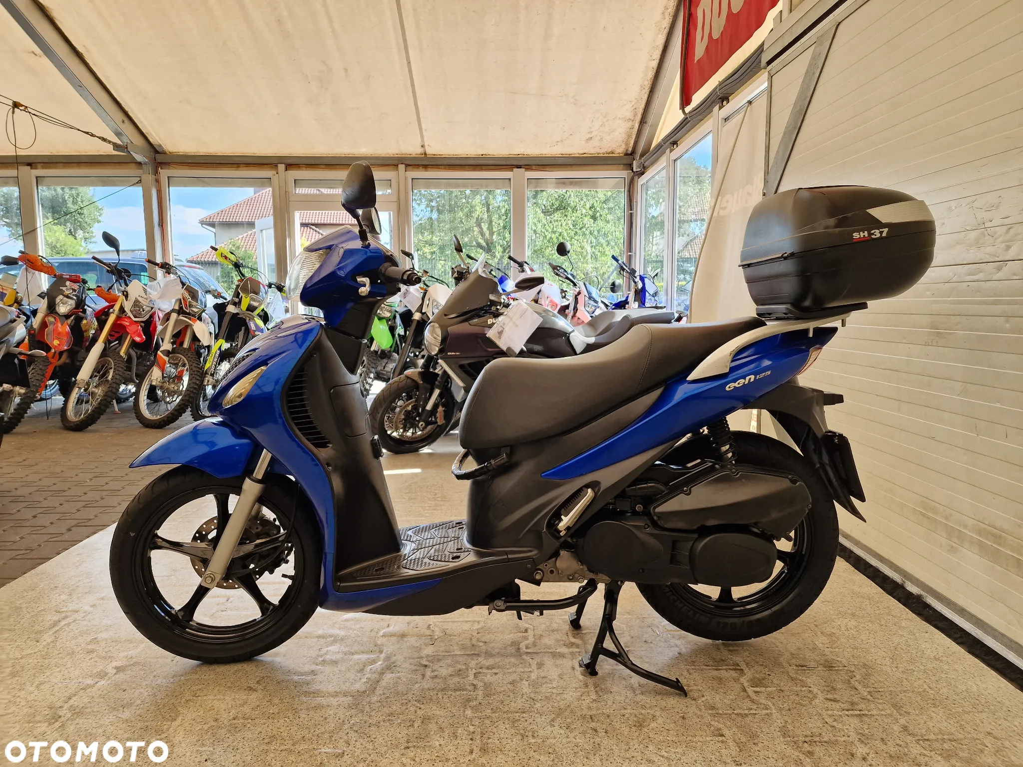 Suzuki Inny - 18