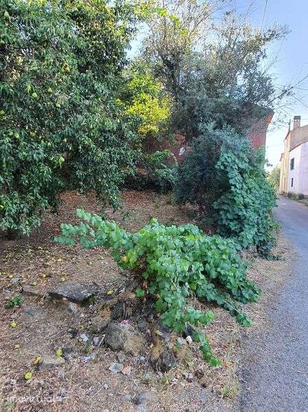 Vendo Casa em Pucariço - Proença-a-Nova, Distrito de Castelo Branco - Grande imagem: 5/10