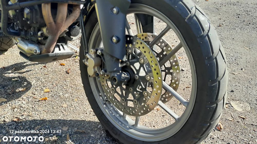 Triumph Tiger - 5