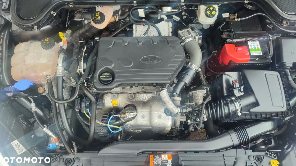 Ford Focus 1.5 EcoBlue Trend Edition - 7