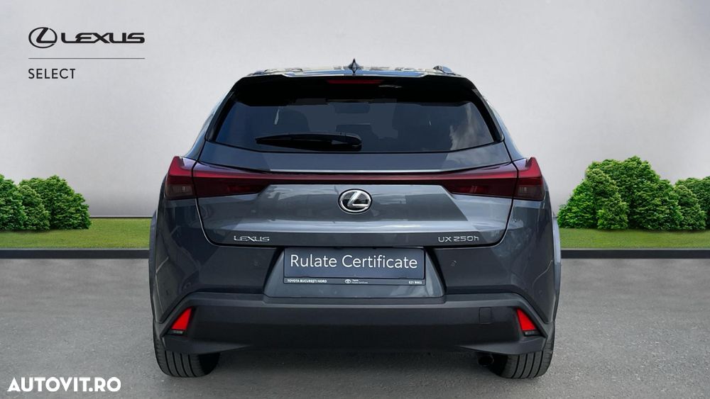 Lexus UX 250h (E-FOUR) Luxury Line - 7