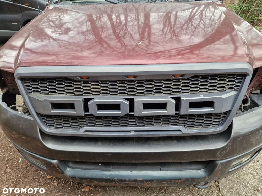 Ford F150 Grill Atrapa 04 08 - 1