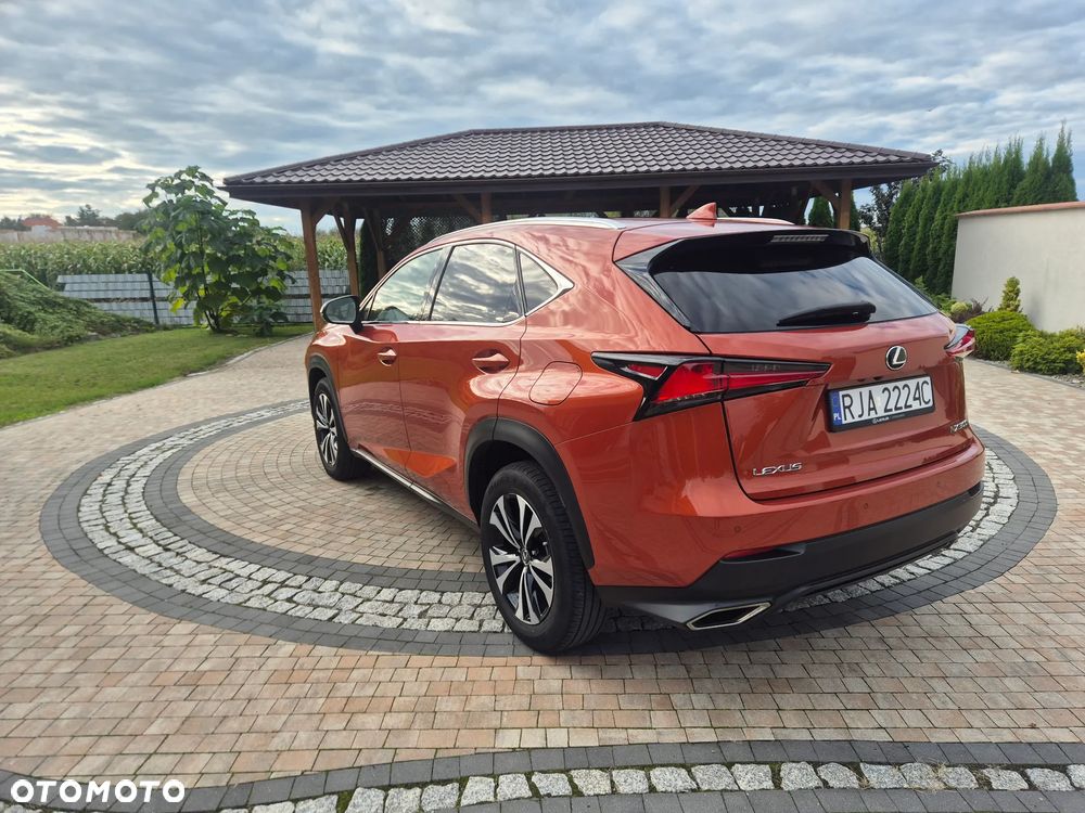 Lexus NX 300 Elegance AWD - 7