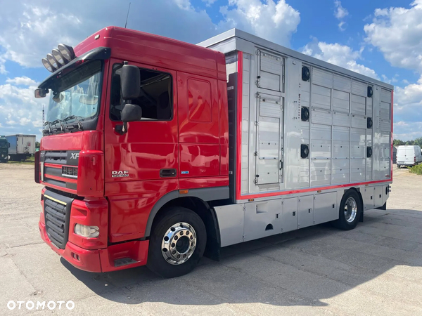 DAF XF 460 DO PRZEWOZU ŻYWCA/ BYDŁA/ TRZODY CHLEWNEJ ZABUDOWA FINKL