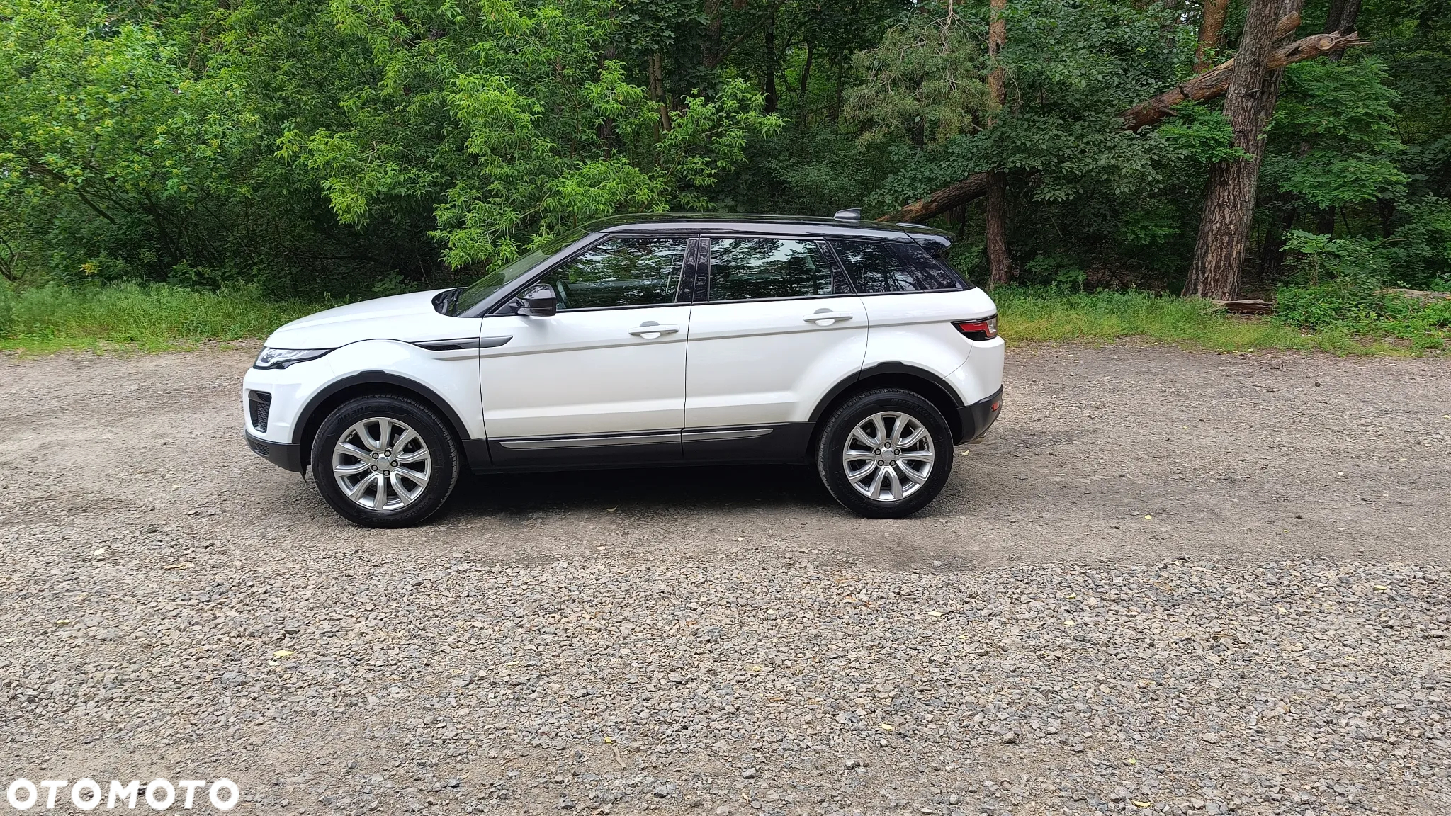 Land Rover Range Rover Evoque 2.0TD4 Pure - 2