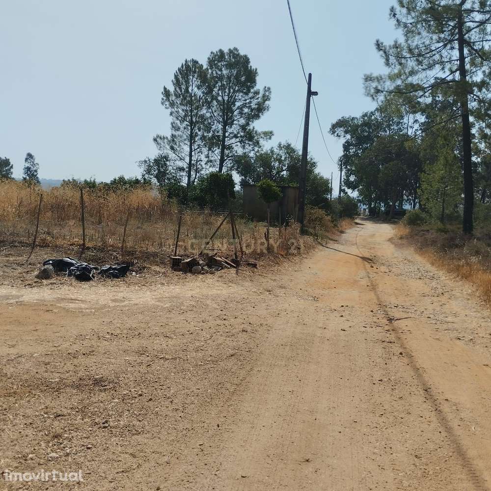 Terreno Agroflorestal em Chancelaria - Grande imagem: 2/18