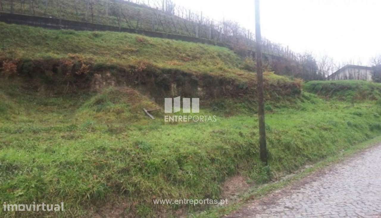 Venda 2 Lotes, Telões, Amarante - Grande imagem: 2/30