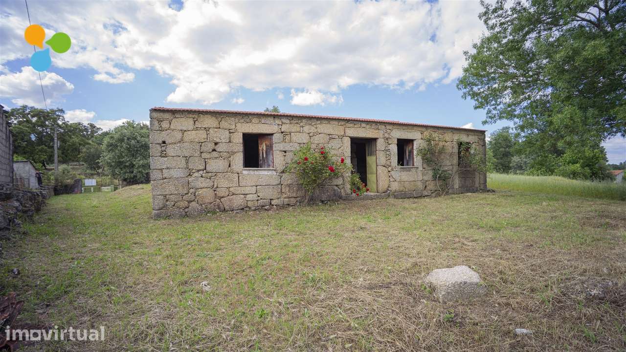 Quinta - Boidobra - Grande imagem: 2/15