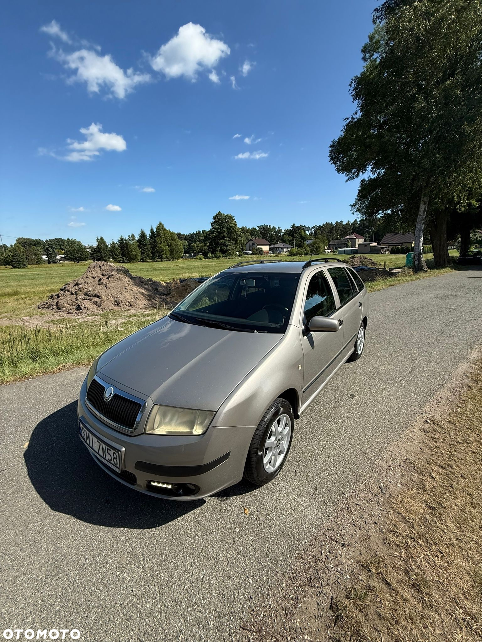 Skoda Fabia 1.9 TDI Ambiente - 10