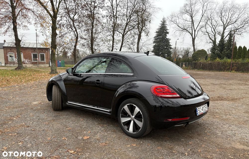 Volkswagen Beetle - 5