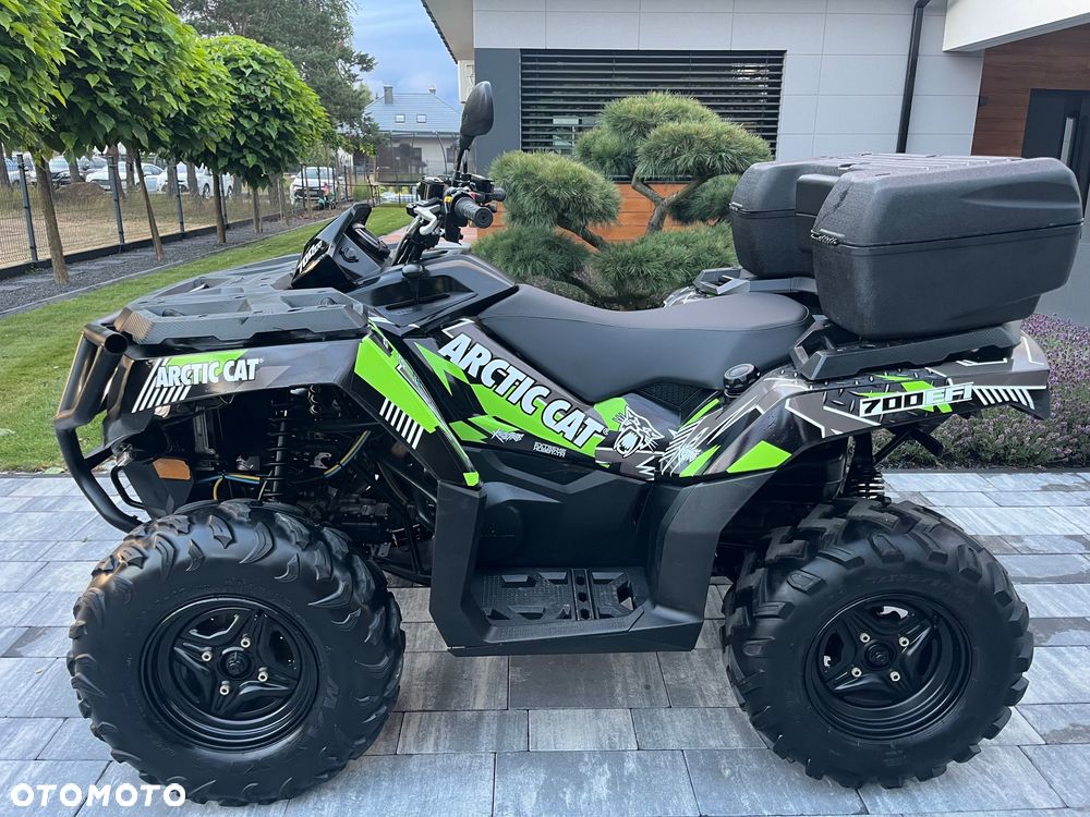 Arctic Cat Inny - 1