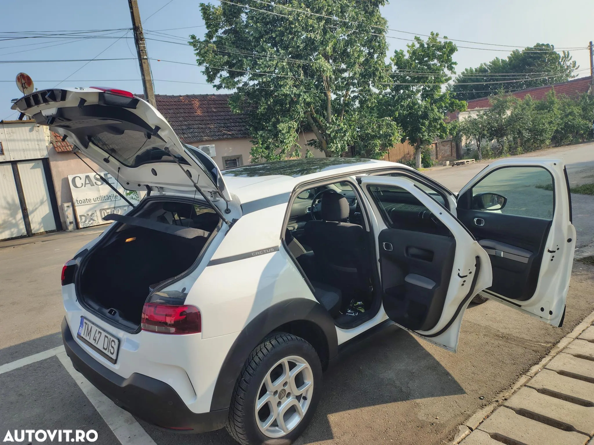 Citroën C4 Cactus - 19