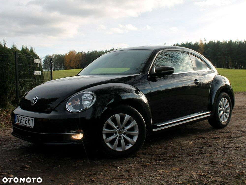 Volkswagen Beetle - 22