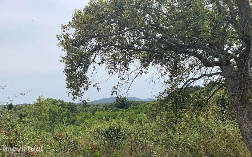 2 Terrenos Rústicos - Grande imagem: 3/5