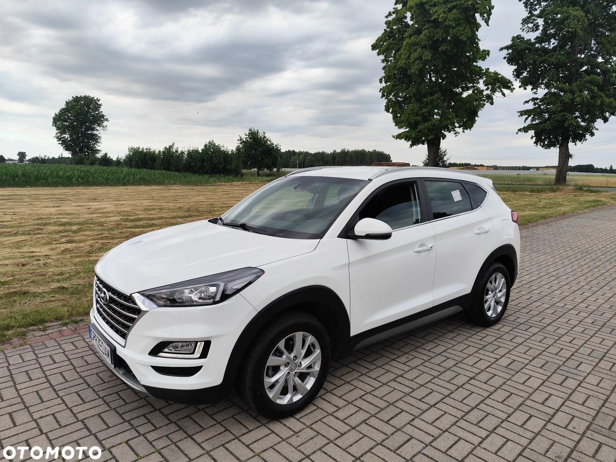 Hyundai Tucson 1.6 CRDi Executive - 1