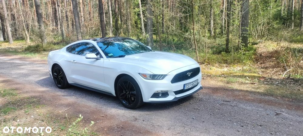 Ford Mustang 2.3 Eco Boost - 3