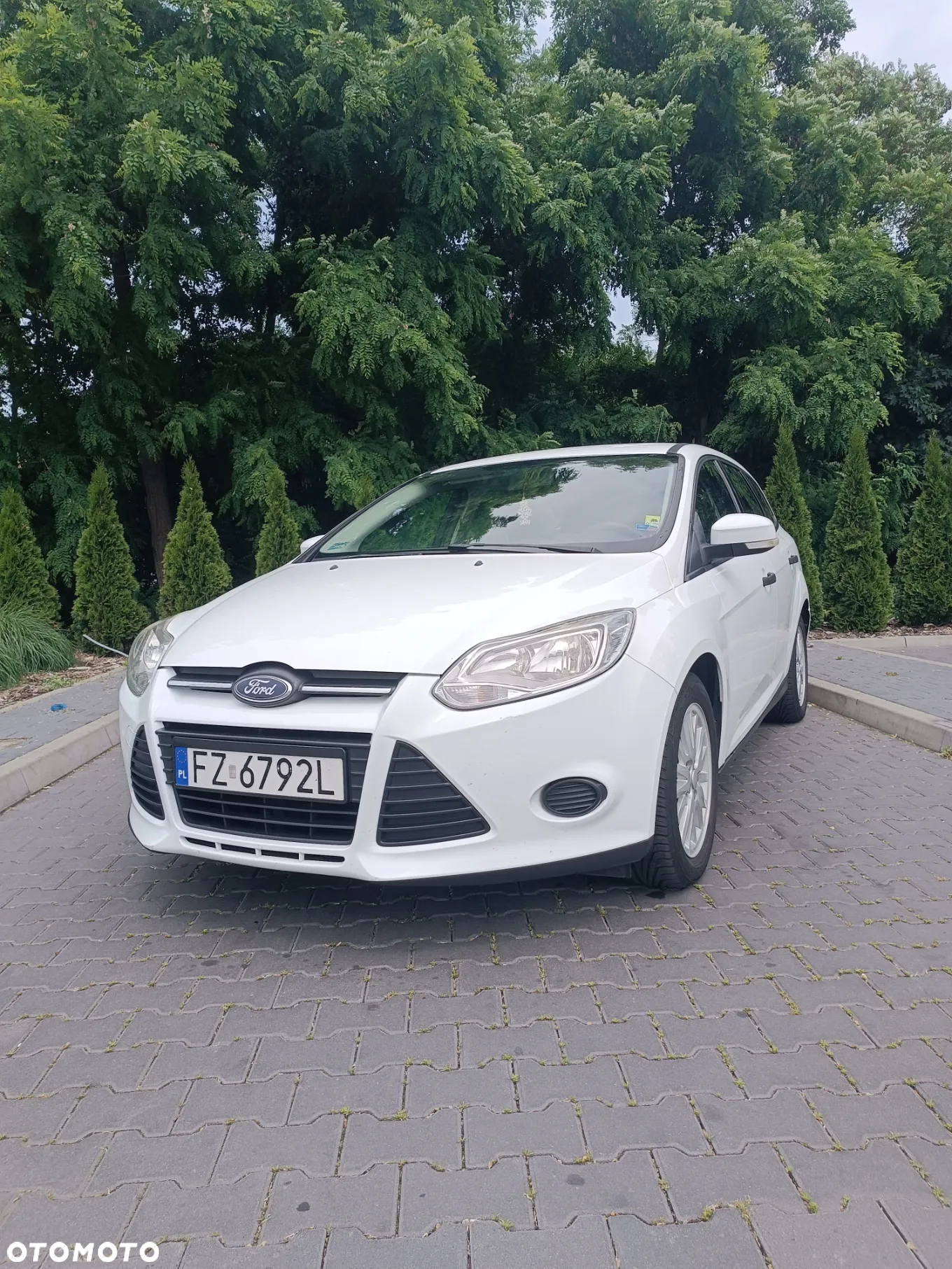 Ford Focus 1.6 TDCi Trend - 2