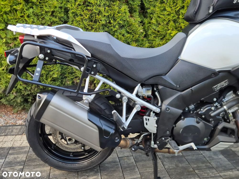 Suzuki DL - 11