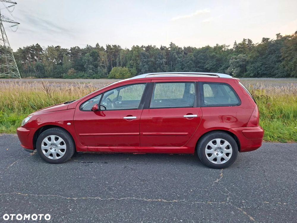 Peugeot 307 2004 photo 5