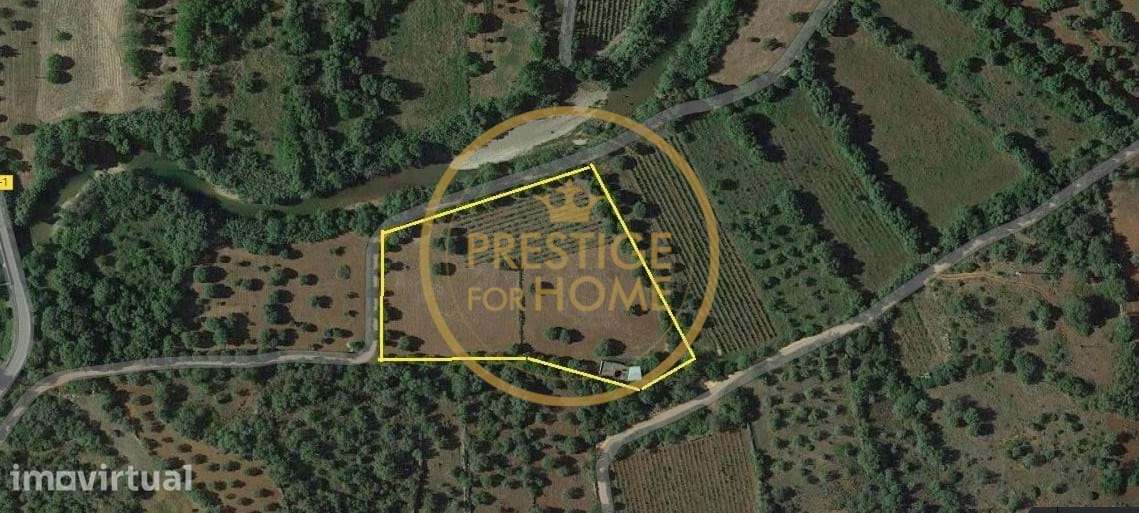 Magnífico terreno misto e plano de 10699 m2, localizado às margens de - Grande imagem: 5/41