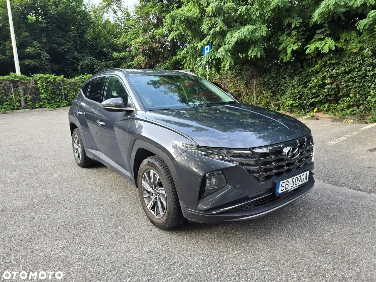 Hyundai Tucson 1.6 T-GDi HEV Executive Final Edition 2WD - 7