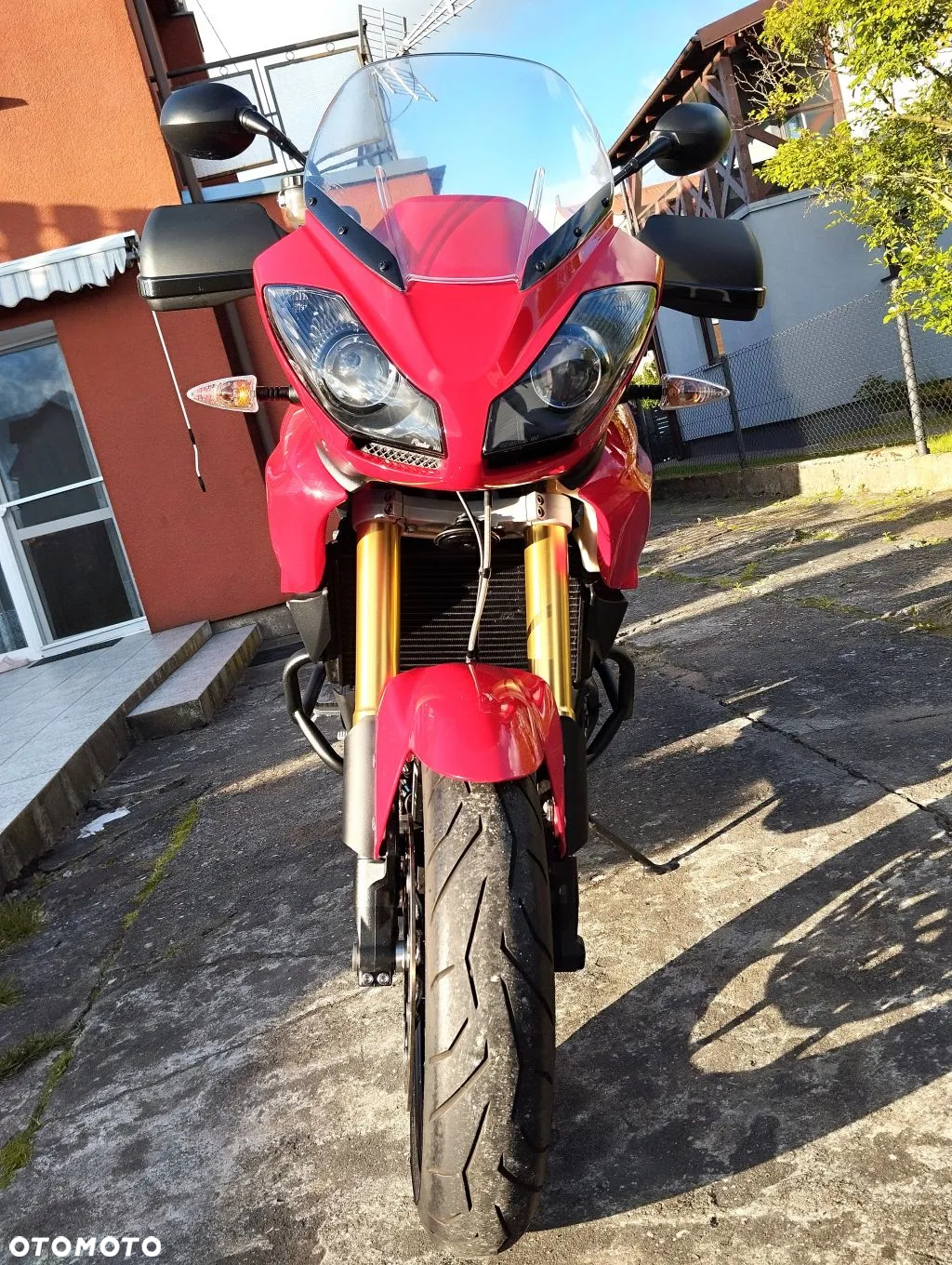 Triumph Tiger - 12