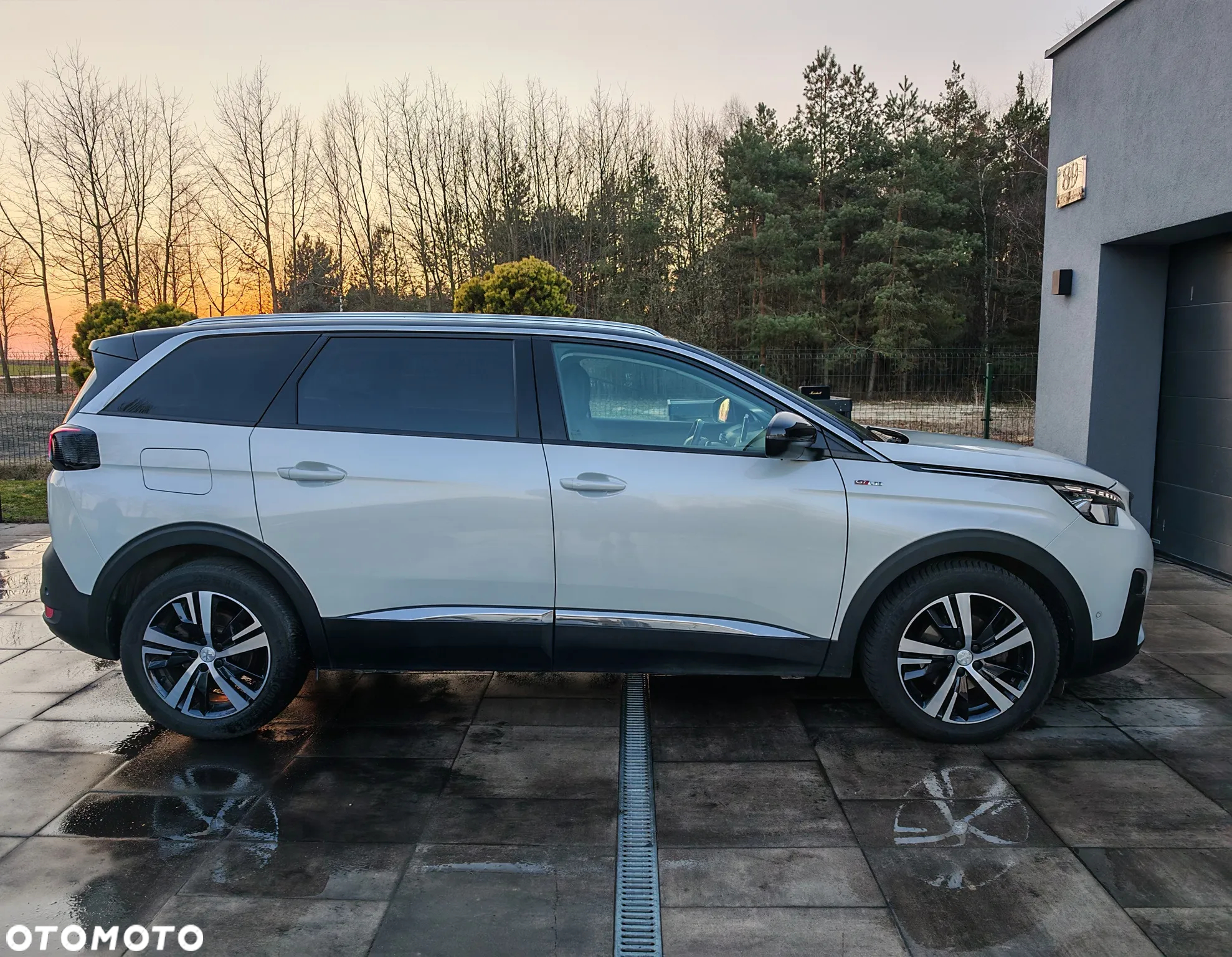 Peugeot 3008 1.5 BlueHDi GT S&S EAT8 - 15