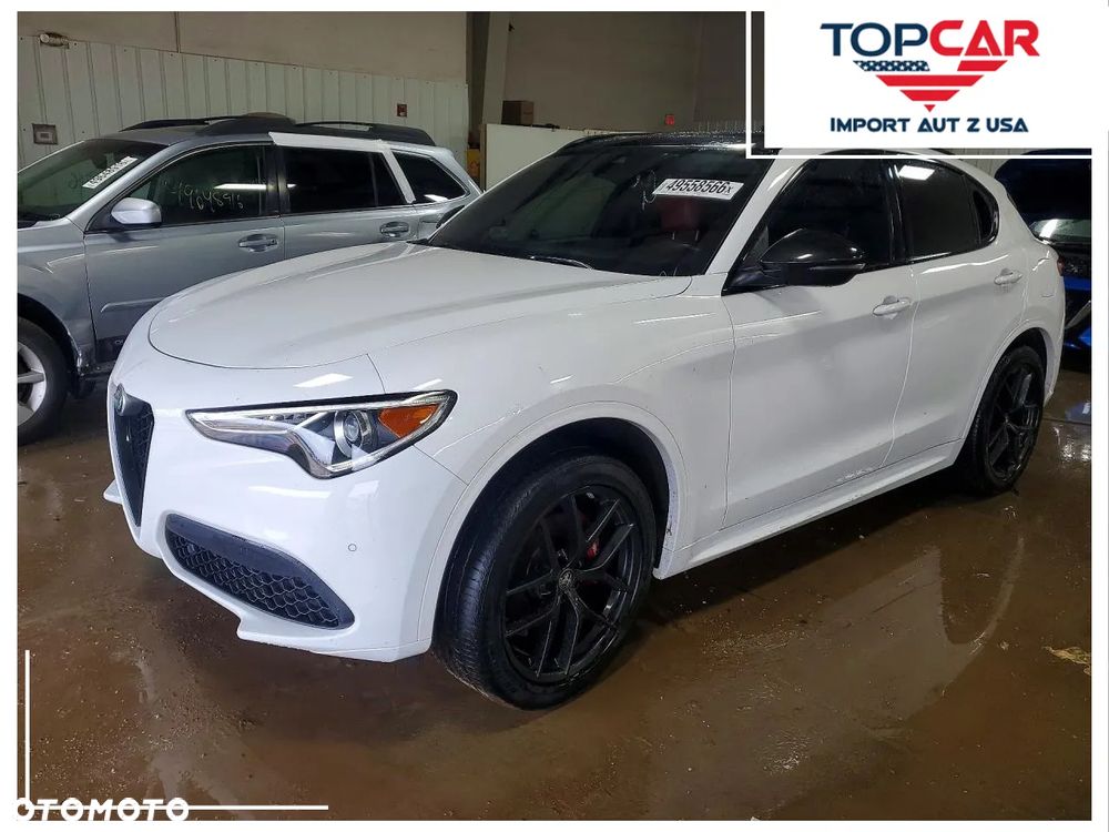 Alfa Romeo Stelvio 2.0 Turbo Super Q4 - 1