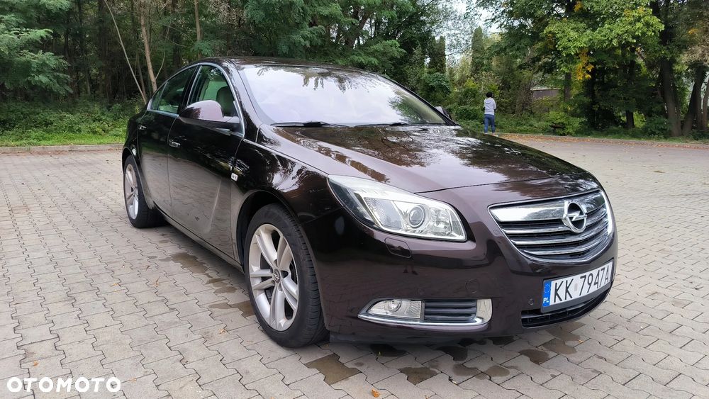 Opel Insignia 2.0 T Cosmo 4x4 EU6 - 10