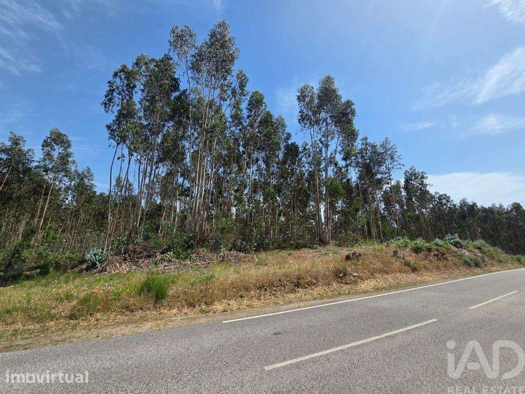 Terreno em São Joaninho - Grande imagem: 3/7