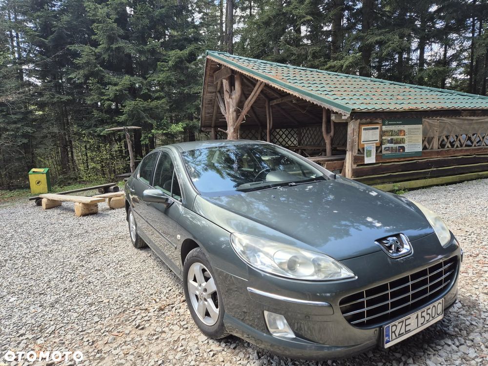 Peugeot 407 HDi 110 Esplanade - 22
