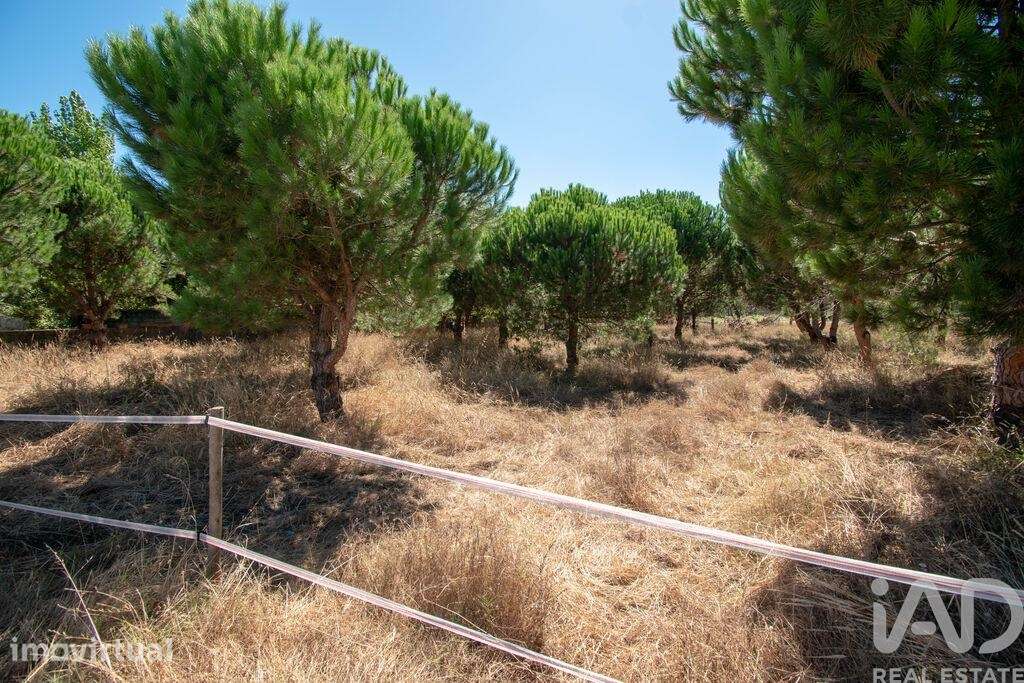 Terreno para construção em Marinha Grande - Grande imagem: 5/5